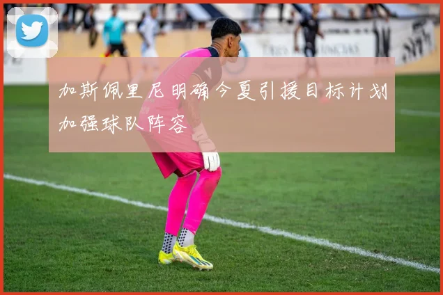 加斯佩里尼明确今夏引援目标计划加强球队阵容